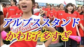土浦日大チアも女子マネージャーもレベルが高い！甲子園2018夏