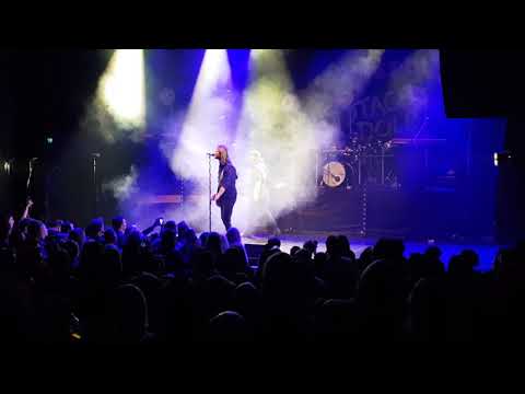 Stage Dolls Commandos Live