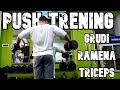 PUSH TRENING (grudi-ramena-triceps) ¤ 3. nedelja pripreme