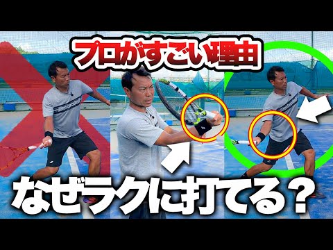 オトプラ科 - 定義