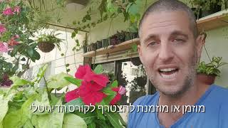 קורס גינון דיגיטלי לטיפוח ועיצוב הגינה הביתית בשיטת עשה זאת בעצמך
