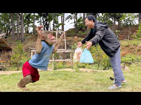 Max’s Tears Say It All – Dad Is Finally Back!