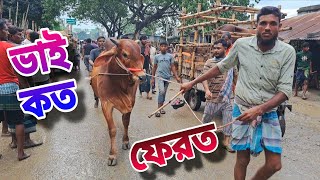 বিক্রি হওয়া গরুর দাম। ভাই কত নিলো। চুয়াডাঙ্গার - আলমডাঙ্গা গরুর হাট। ২০২৫ কোরবানি