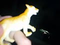 Lioness Watches The THX Broadway Logo Ice Age
