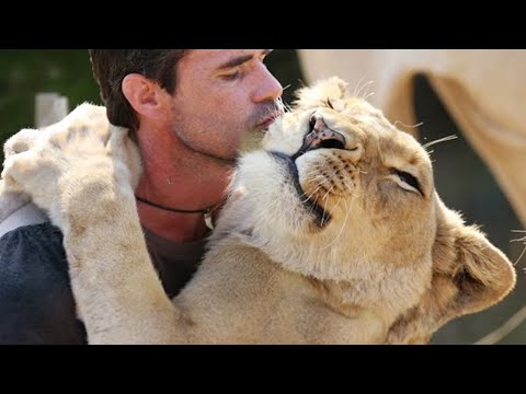 Quand les animaux nous apprennent l'amour ❤️