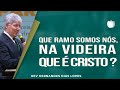 Que Ramo Somos Nós Na Videira Que é Cristo Rev Hernandes Dias Lopes IPP