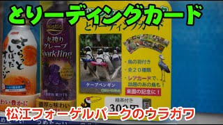 【ウラガワ】とりーディングカードを買ってみる(松江フォーゲルパーク)