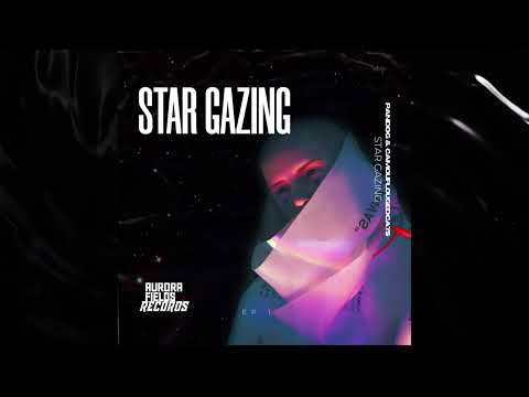 Pando G, Camouflaged Cats - Star Gazing (Original Mix)