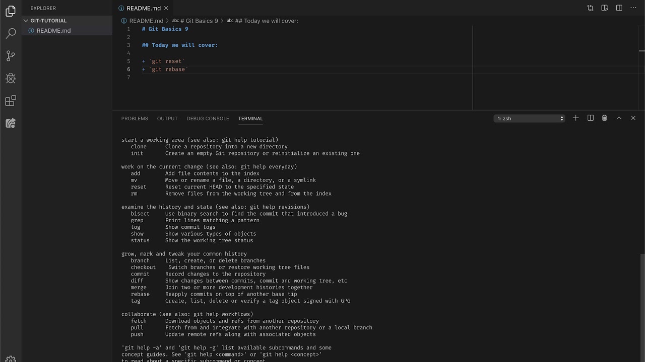 Git Basics 10: Reset, Rebase