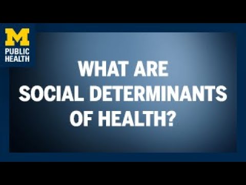 What Are Social Determinants of Health? | Michigan Public Health
