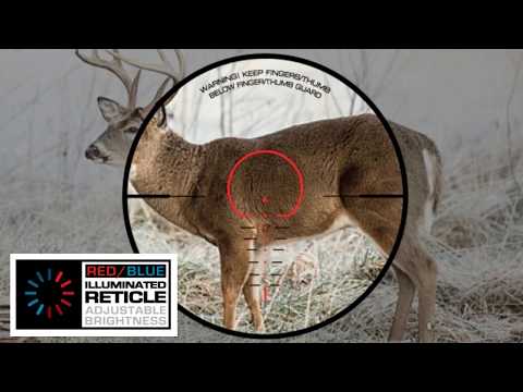 LUMIX Speedring Crossbow Scope Review - 20-100 Yards! - Works With Any Bow