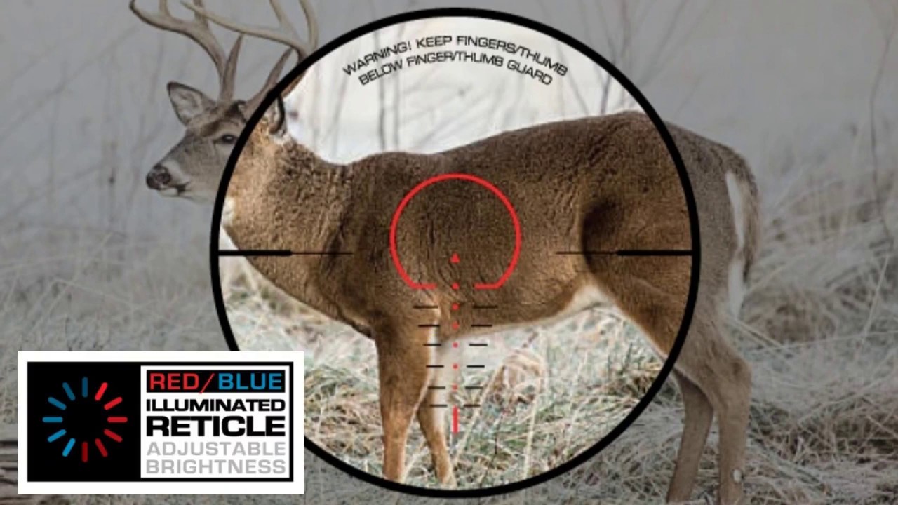 LUMIX Speedring Crossbow Scope Review - 20-100 Yards! - Works With Any Bow