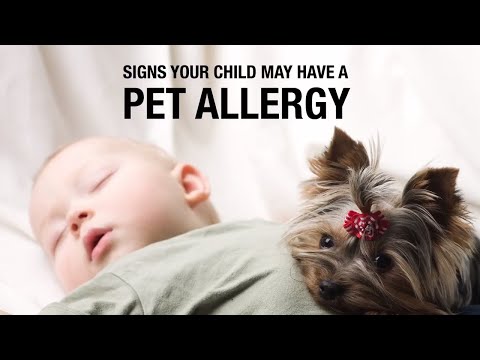 Signs your Child may have a Pet Allergy