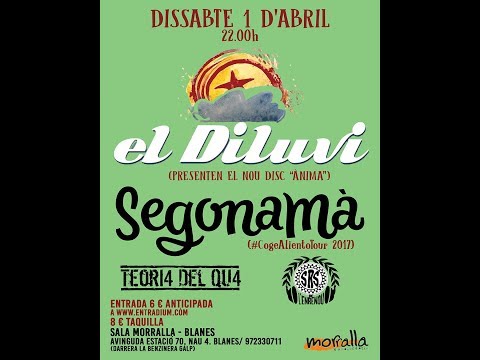 EL DILUVI - No hi ha ningú (Que balle com tu). Directe, Sala MORRALLA