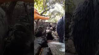 E já aviso: a beleza desse Balneário pode surpreender vocês. 👀💦#shorts #shortvideo #song #short