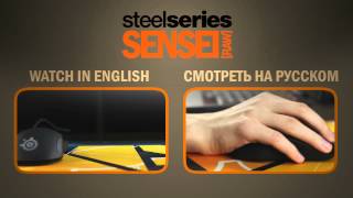 Review SteelSeries Sensei RAW (in English and Russian)