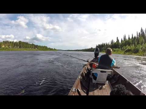 Lohestusta Tornionjoella Lempeässä (kahden metrin hyppy)