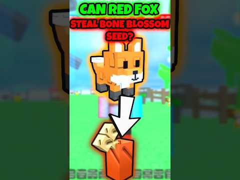 ❓Can RED FOX Steal BONE BLOSSOM Seed In Grow a Garden! #growagarden #growagardenroblox #shorts