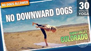 No Dogs Allowed :) - a 30 Minute Downward Dog Free Yoga Class - Five Parks Yoga