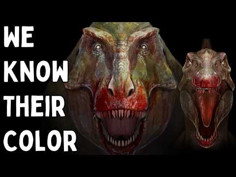 20 Minutes Of Dinosaur Facts You Didn't Know You Needed to Know