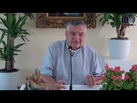  9. La humildad de la Santísima Virgen María | Crecer en la Fe Verdadera con el P. Santiago Martín FM
