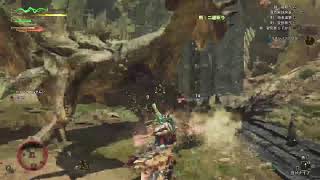 リオレイアを極めよう