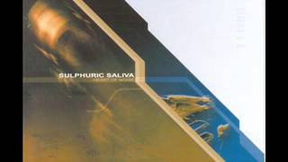sulphuric saliva - 2002 - heart of noise