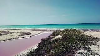 preview picture of video 'Pink Waters  "Las Coloradas"'