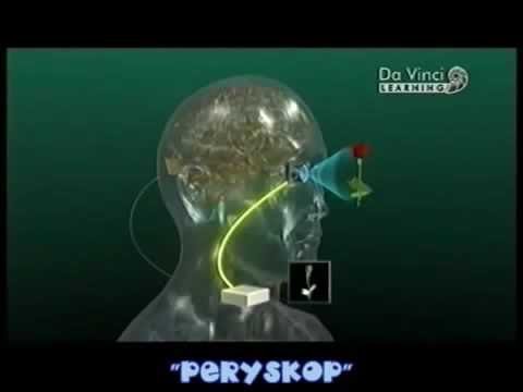 Jestem zły - Film dokumentalny LEKTOR PL