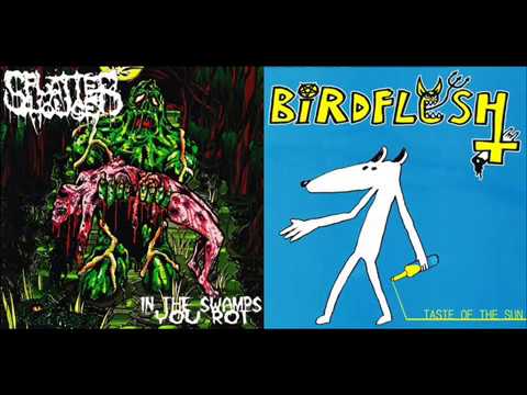 Splatterhouse & Birdflesh - Split (2006) [Full Album]