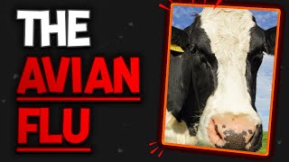What We Know About The Avian Flu Outbreak w/ Dr. Lauren Schmok | The Veterinary Roundtable - EP66