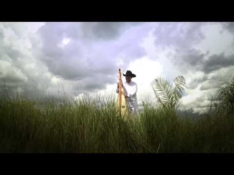 UNA PELEA CON UN ALCARAVAN