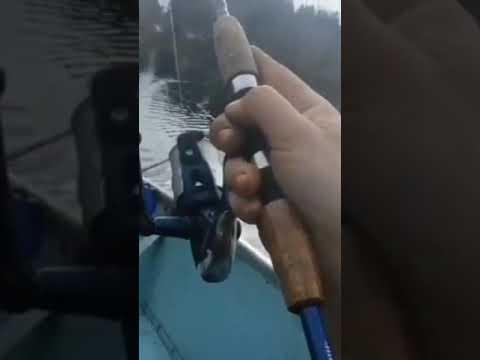 Trolling Mill Lake