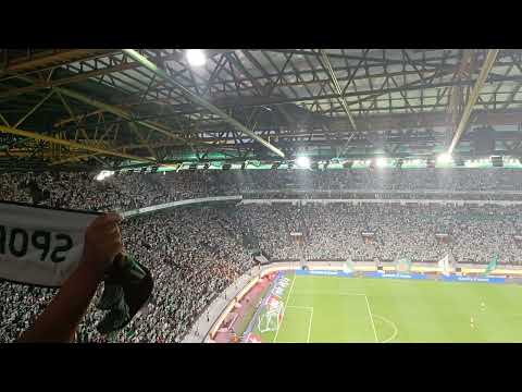 O mundo sabe que... 🎶 - Sporting CP 6x0 Arouca #sporting #sportingcp #ligaportugal 