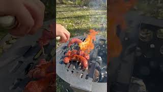 Video de Fogón Fénix 600 - Tromen