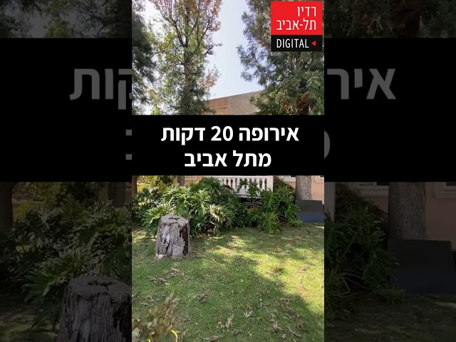   למה כדאי להגיע דווקא ליקב וילהלמה? מתוך שיחה של מוטי גולדמן, הבעלים של יקב וילהלמה, עם דני וידיסלבסקי, מומחה להתנהגות אנושית ומאסטר בניהול, בתוכנית...