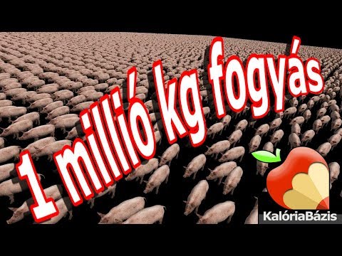 diéta 5+2 fogyókúra 100 kg felett