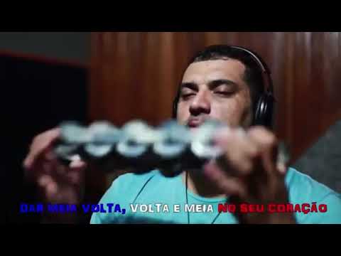 União da Ilha 2014 - Samba Campeão - Intérprete - Wander Pires