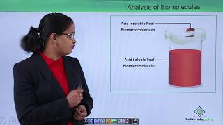 Biomolecules - Chemical analysis of biomolecules