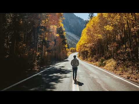 Chicane - MiddleDistanceRunner feat. Adam Young