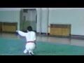 Wushu Forms - Five Stance Form