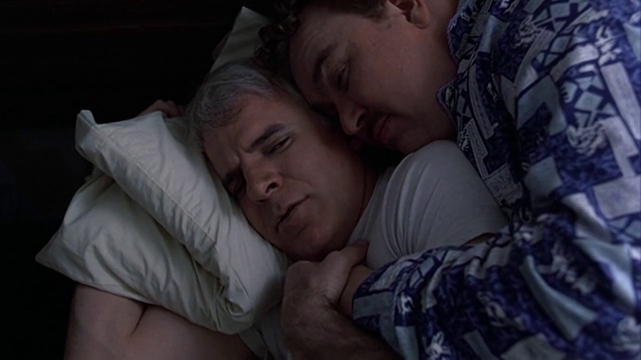 Planes Trains and Automobiles those arent pillows