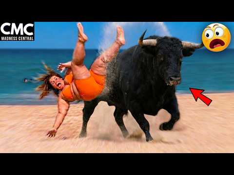 Try Not To Laugh 🤣 Top 100 Funniest Videos Ever 😂 | Funny Videos Compilation 2026 #156