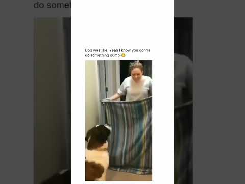 Aur karo Frank #frank #dog #women #shortvideo