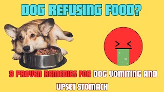 9 Home Remedies For Dog Vomiting and Upset Stomach | Pet Care Tips