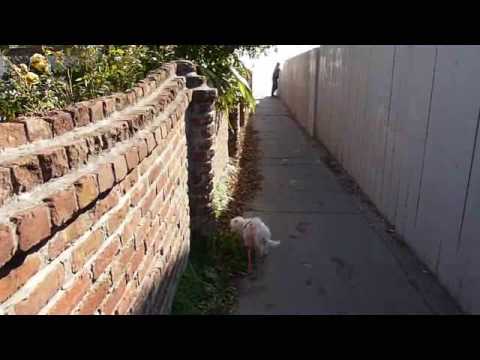 By the sea, after brunch   ~Char~