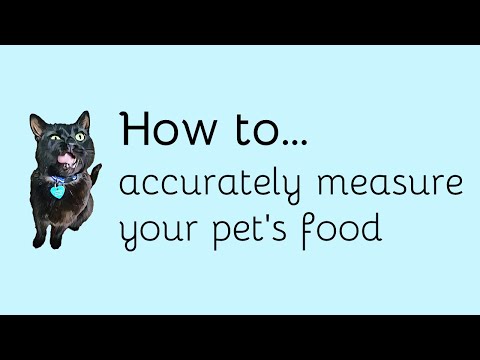 How to accurately measure your pet's food
