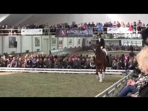 Goldfinger with offspring - Helgstrand Dressage Stallion show 2015