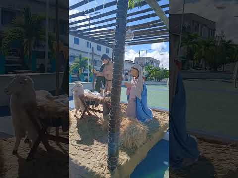 NATAL  MAGICO NOVA FATIMA BA