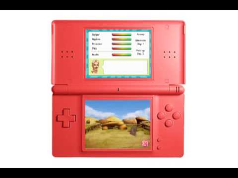 My Pet : Zoo Vet Nintendo DS